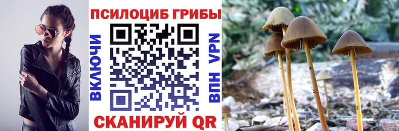 blacksprut сайт  Белокуриха  Псилоцибиновые грибы MAGIC MUSHROOMS 